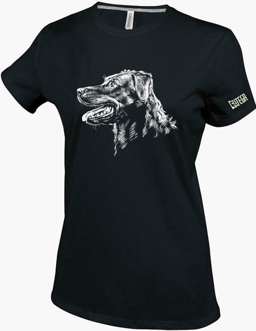 Beauceron