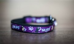 OBOJEK MOPS 2 cm