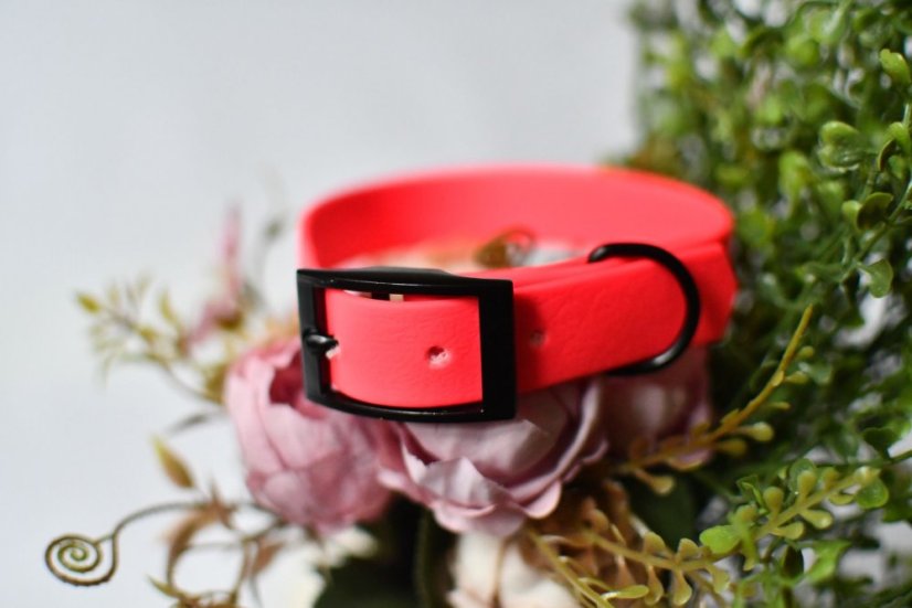 Collar aqua with buckle