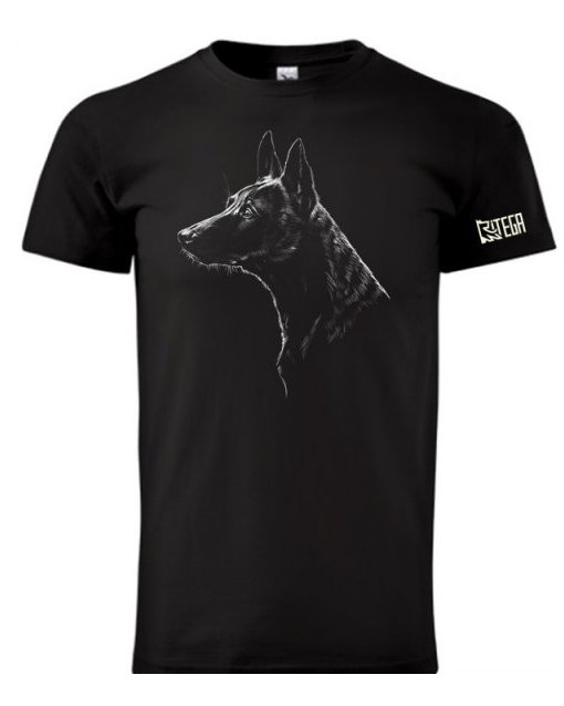 Holländischer Schäferhund