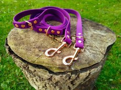 SWITCHING LEASH HEXA EXCLUCIVE PINK  KARABINER