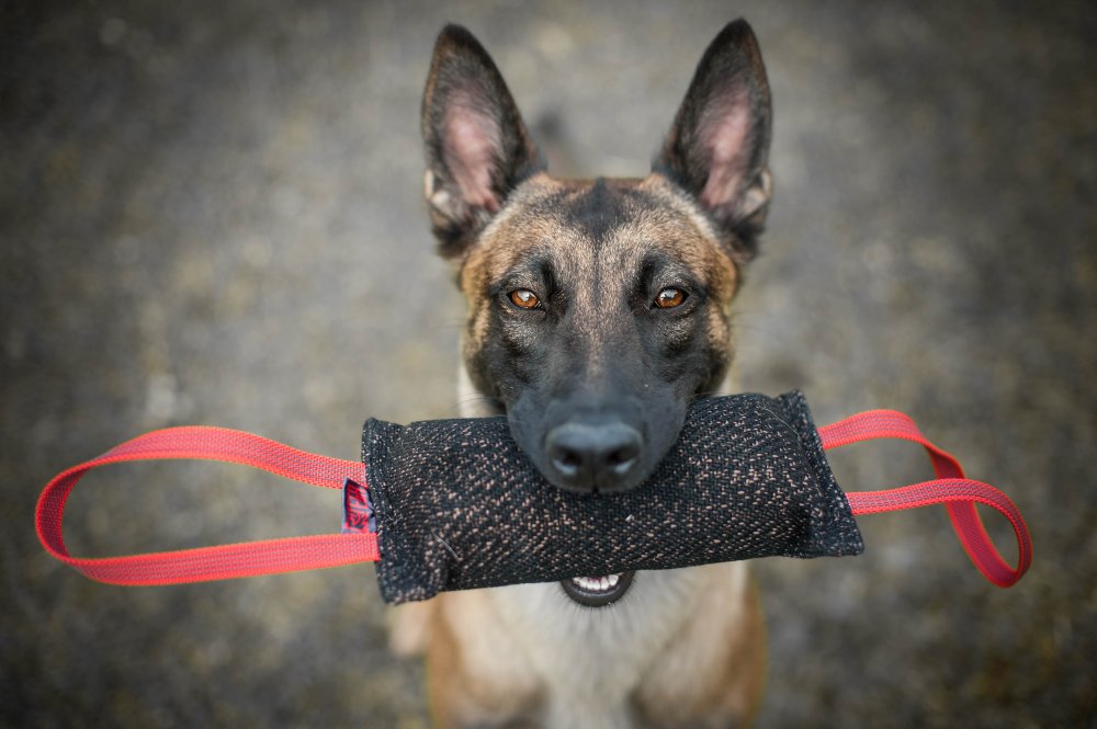 Training - CARABINER AND HALF-RING COLOR 16 MM - BLACK