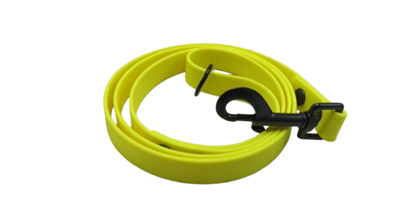 Leash Aqua