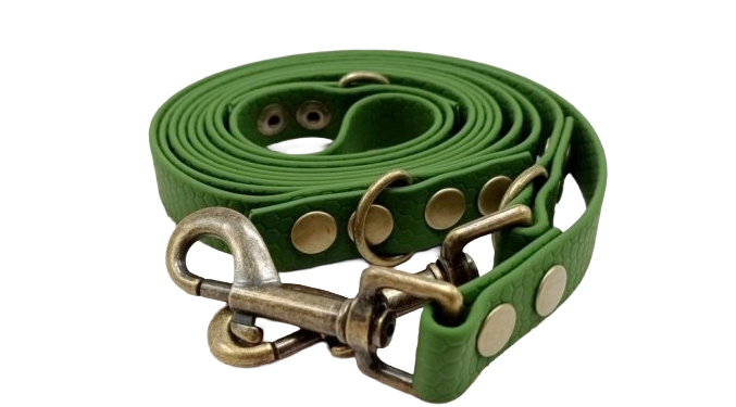 Switching leash Aqua