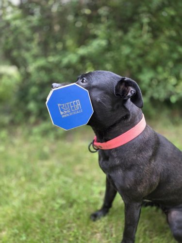 DŘEVĚNÁ ČINKA OBEDIENCE