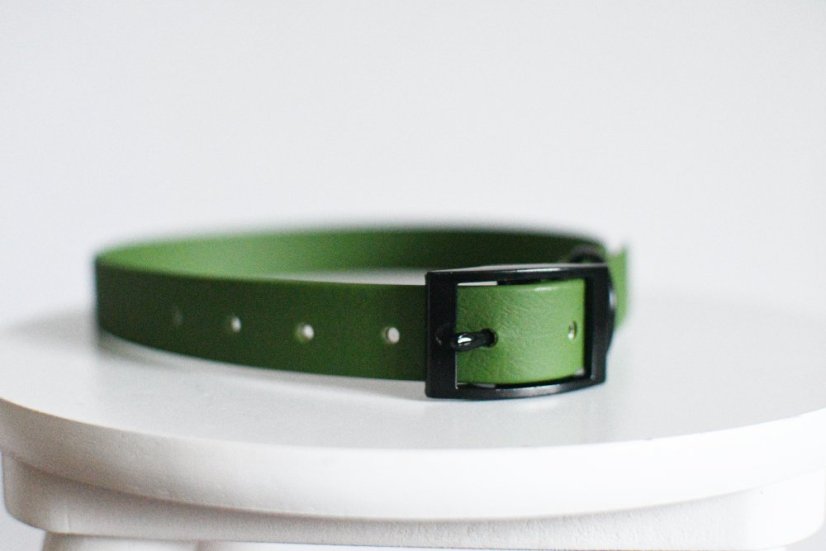 Collar aqua with buckle