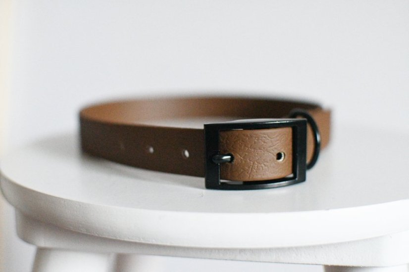 Collar aqua with buckle