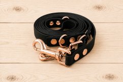 Switching leash Aqua