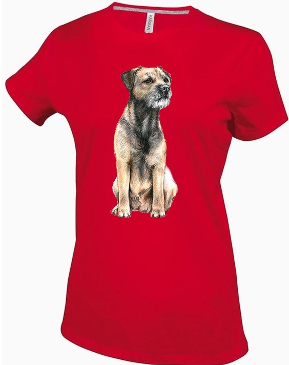 Border-Terrier