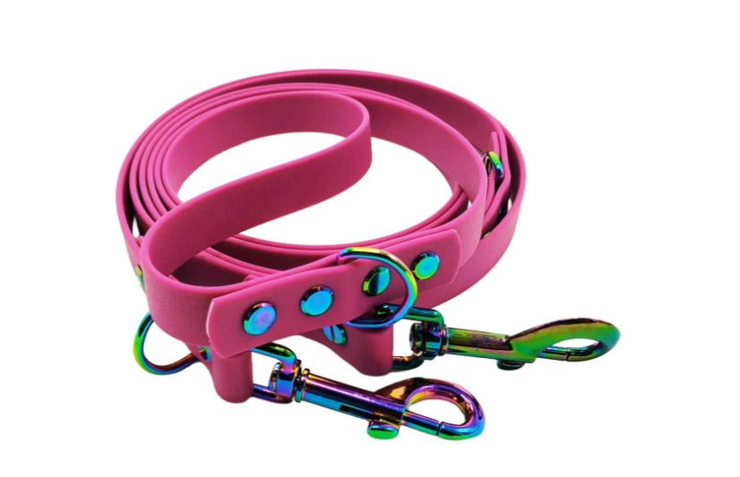 Switchable leash aqua exclusive rainbow fittings