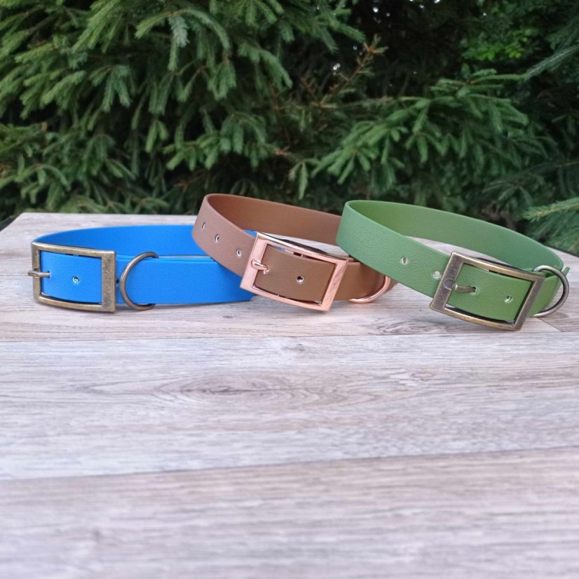 Collar aqua exclusive grafitis buckle