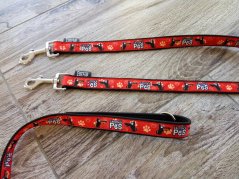 VODÍTKO CHODSKÝ PES