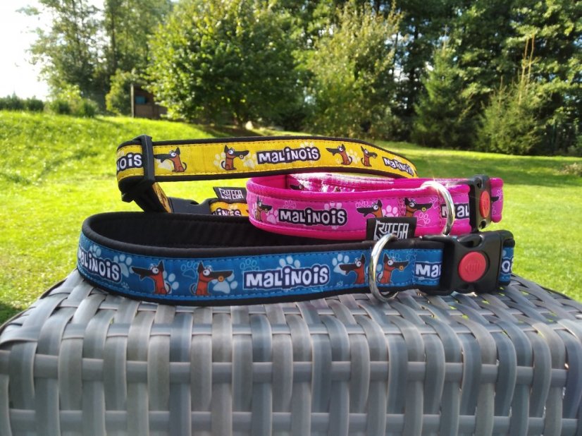 COLLAR MALINOIS 2,5 cm