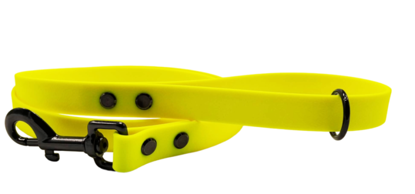 Aqua exclusive leash black fittings