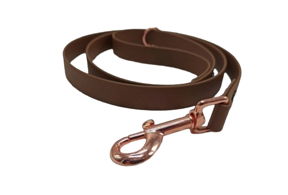 Leash Aqua