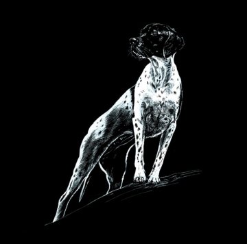 Pointer