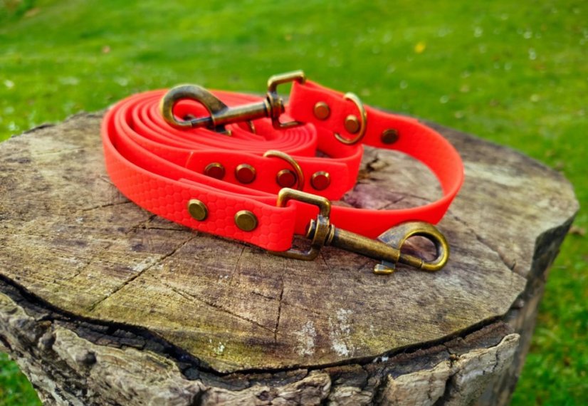 SWITCHING LEASH HEXA EXCLUCIVE BRASS  KARABINER