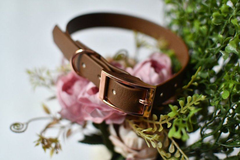 Collar aqua with buckle