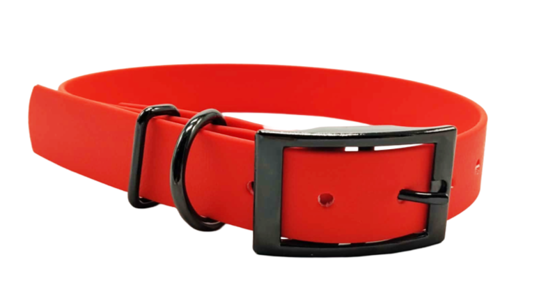 Collar aqua exclusive grafitis buckle