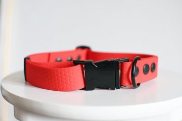 Hexa Collars