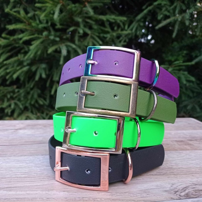 Collar aqua exclusive grafitis buckle
