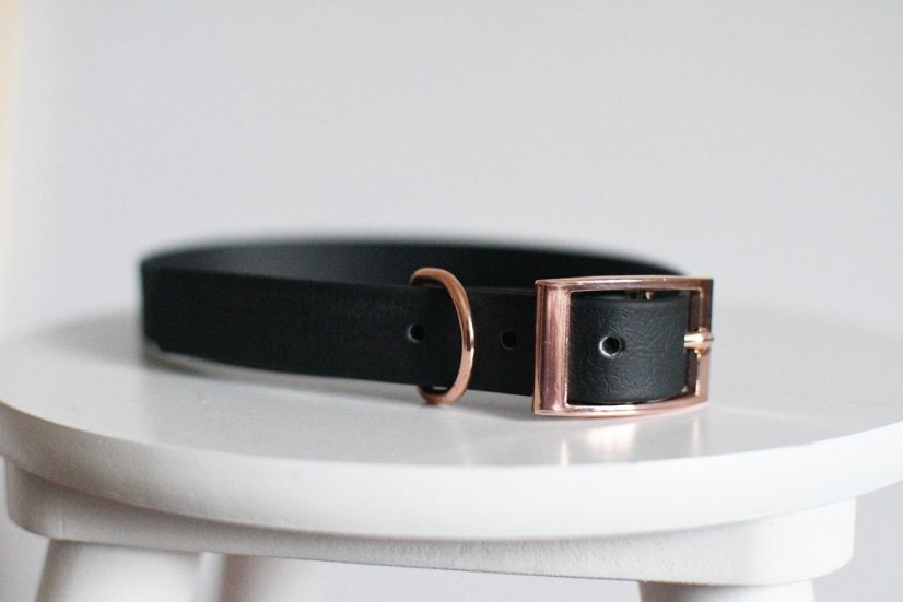 Collar aqua with buckle