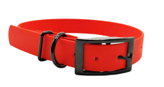 Collar aqua exclusive grafitis buckle