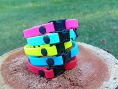 Distinctive collars for puppies width 10 mm