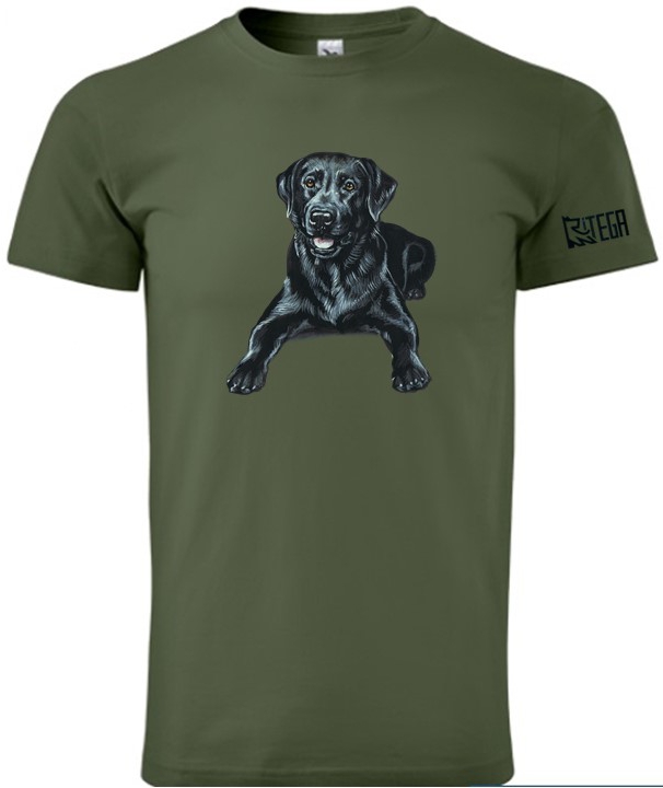 Labrador Retriver