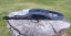 Leash rubberized with bottom hold
