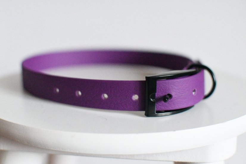 Collar aqua with buckle