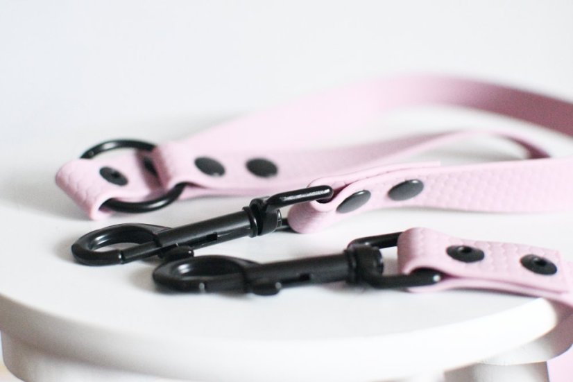 Leash for two dogs