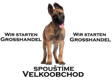 Velkoobchod