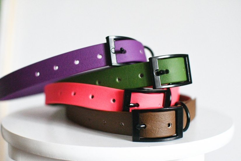 Collar aqua with buckle