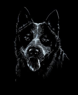 ACD