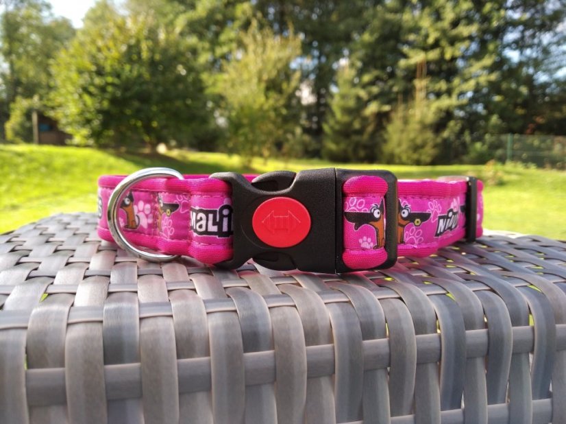 COLLAR MALINOIS 2,5 cm