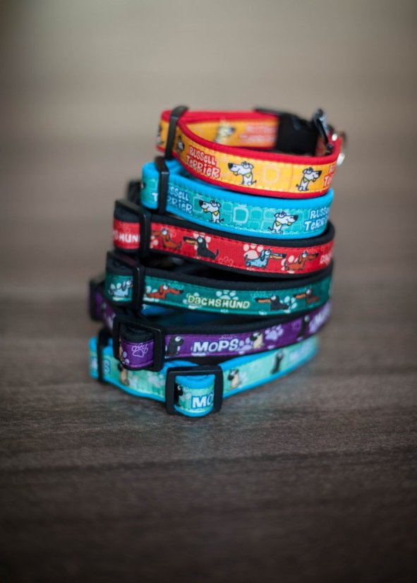 COLLAR DALMATIN 2,5 cm