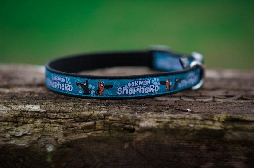 COLLAR GERMAN SHEPHERD  2,5 cm